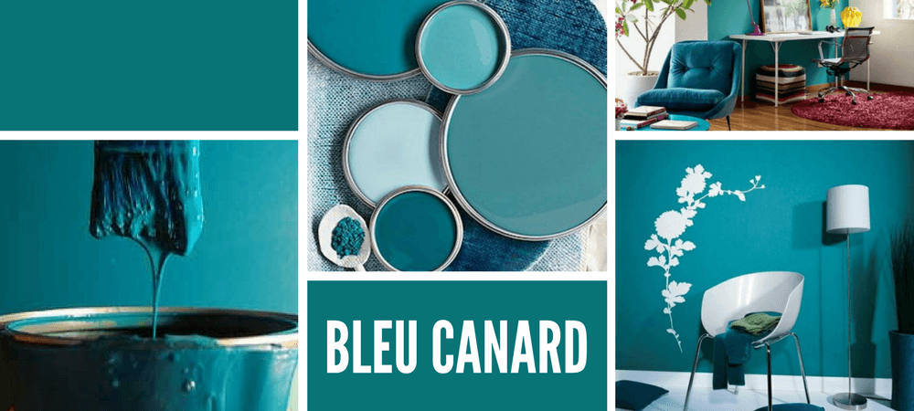 Couleur bleu canard en décoration