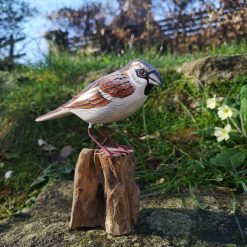 reproduction de moineau domestique en bois