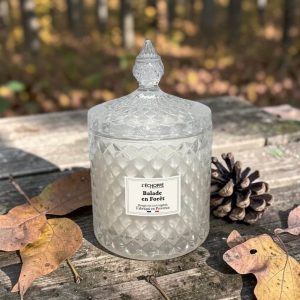 bougie-bonbonniere-senteur-balade-en-foret