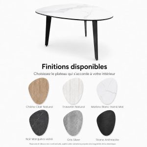 finition et teinte plateau